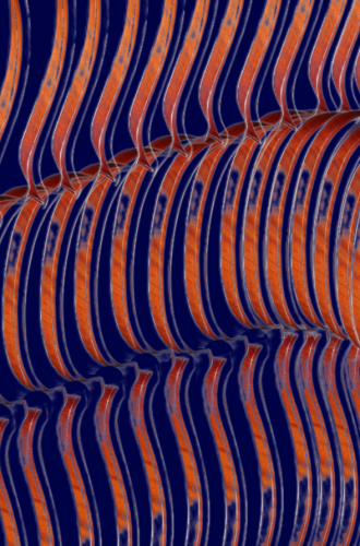 1-copy-2.png